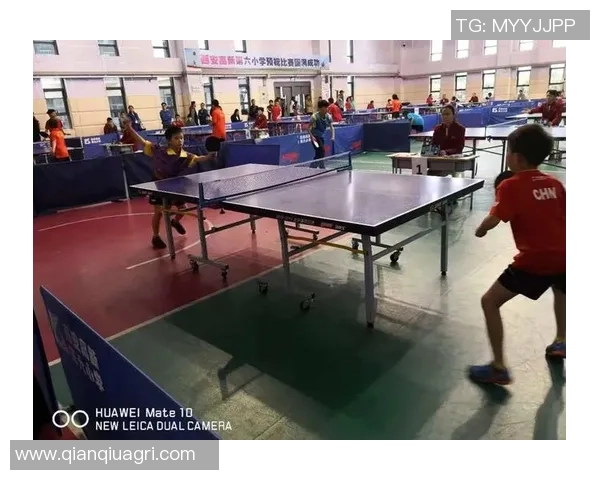 杭州与西安乒乓球队赛后分析个人能力对比与表现总结 杭州与西安乒乓球队赛后分析个人能力对比与表现总结